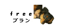 chobi net レンタルサーバー